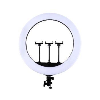 41651-350x350 رینگ لایت جی ماری FM 21R | قیمت و خرید انواع رینگ لایت | کلینیک کالا