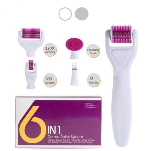 6-in-1-Titanium-Gold-Derma-Roller